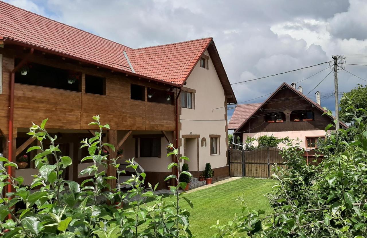 Casa Monica Guest House Dragus Ngoại thất bức ảnh